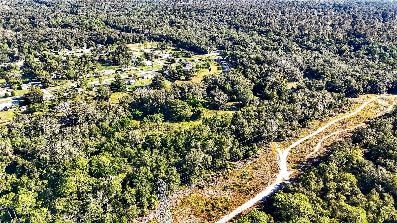 Land at 13055 MORRIS BRIDGE RD, THONOTOSASSA, photo 6 of 11