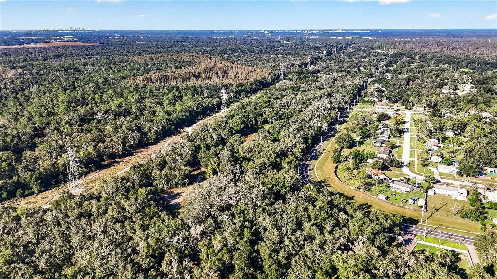 Land at 13055 MORRIS BRIDGE RD, THONOTOSASSA, photo 8 of 11