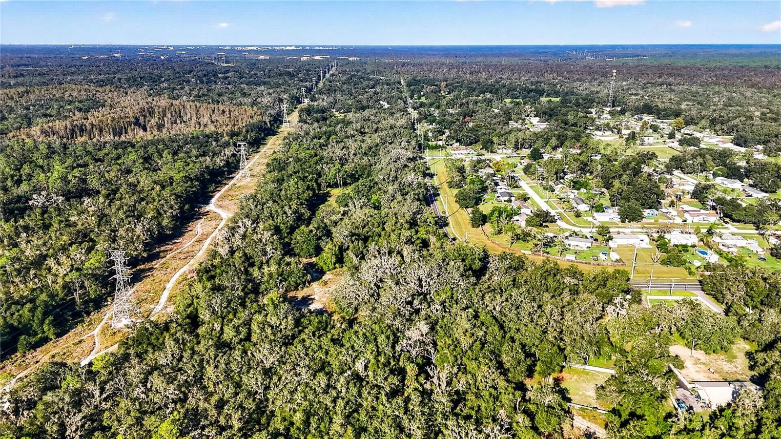 Land at 13055 MORRIS BRIDGE RD, THONOTOSASSA, photo 10 of 11