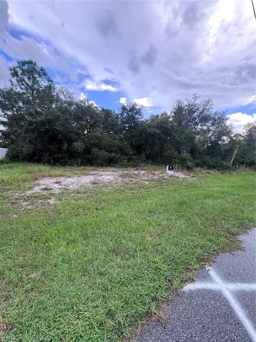 Land at 317 BOWFIN DR, POINCIANA, photo 4 of 5