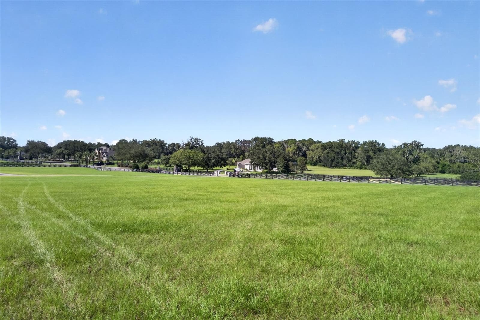 Land at 15681 NW 48TH PL, ALACHUA, photo 16 of 20