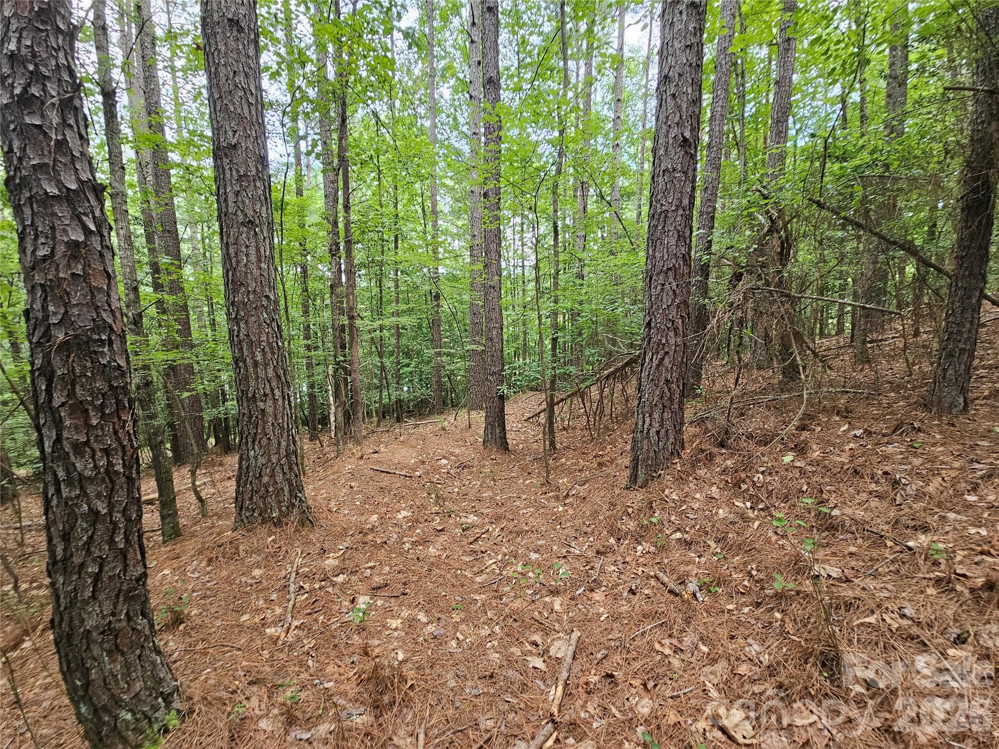 Lot at 0 Broadwater Drive, Granite Falls, photo 7 of 12