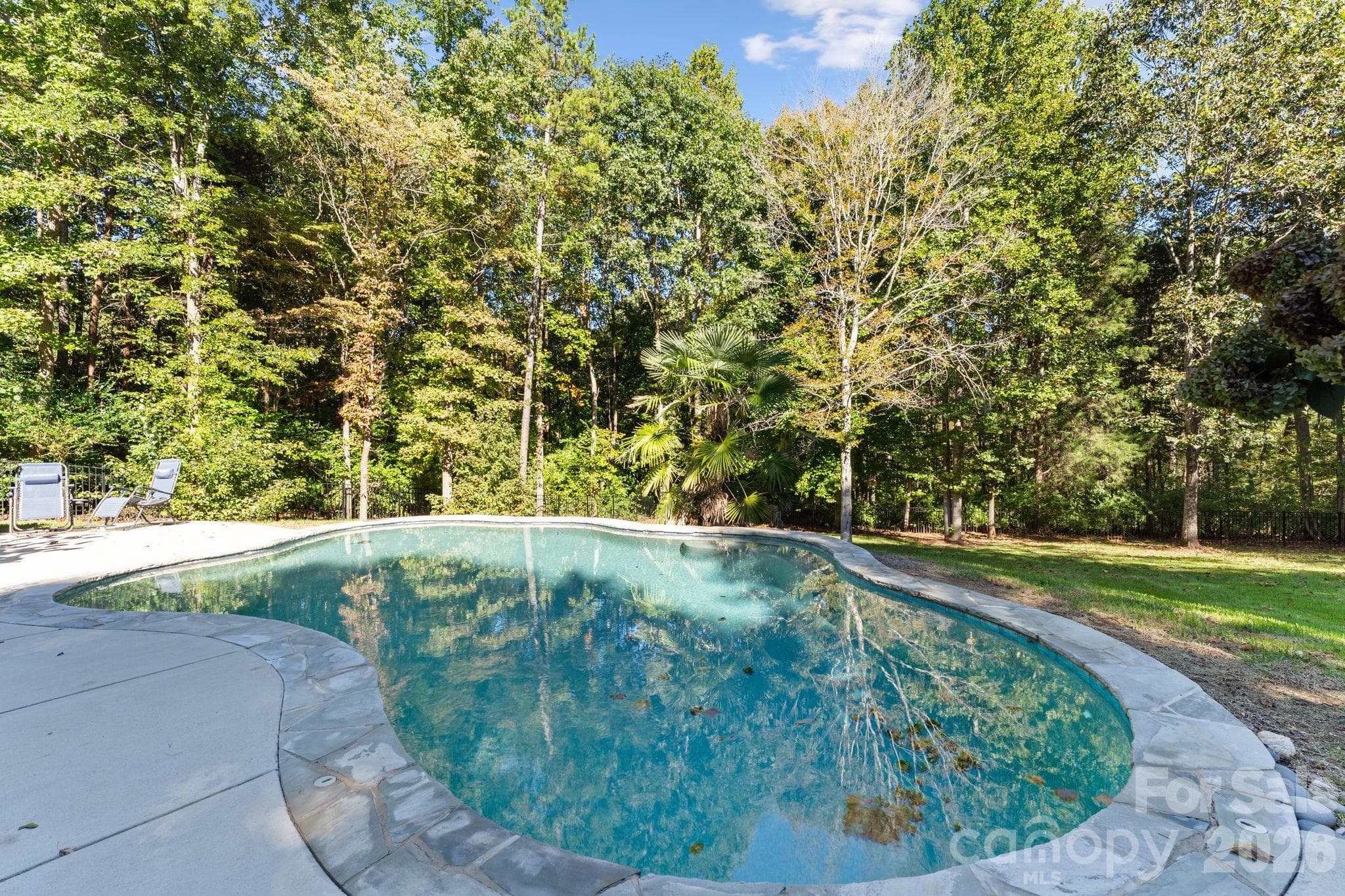 Salt Water Pool - 287 Walking Horse Trail, Davidson