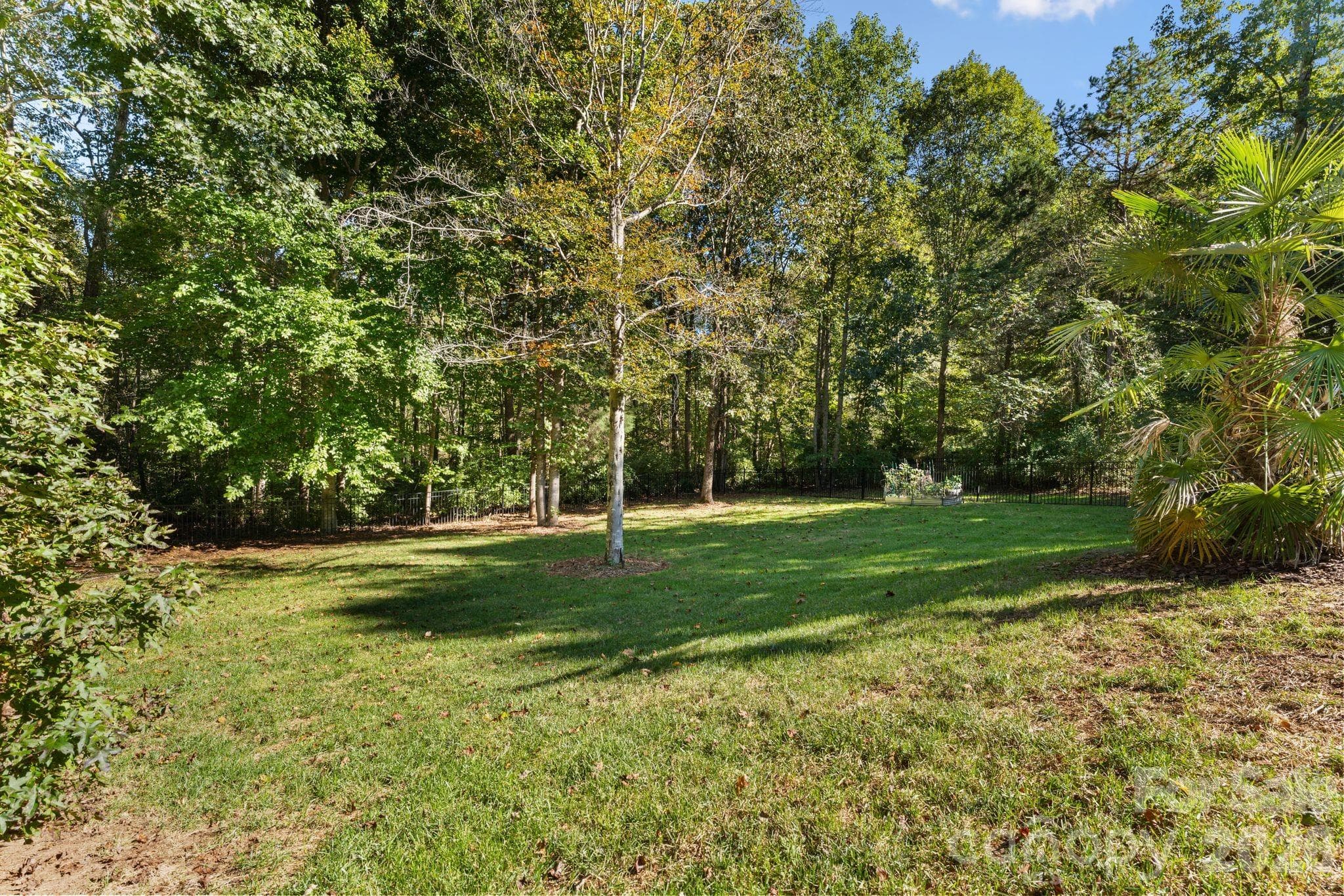Backyard - 287 Walking Horse Trail, Davidson