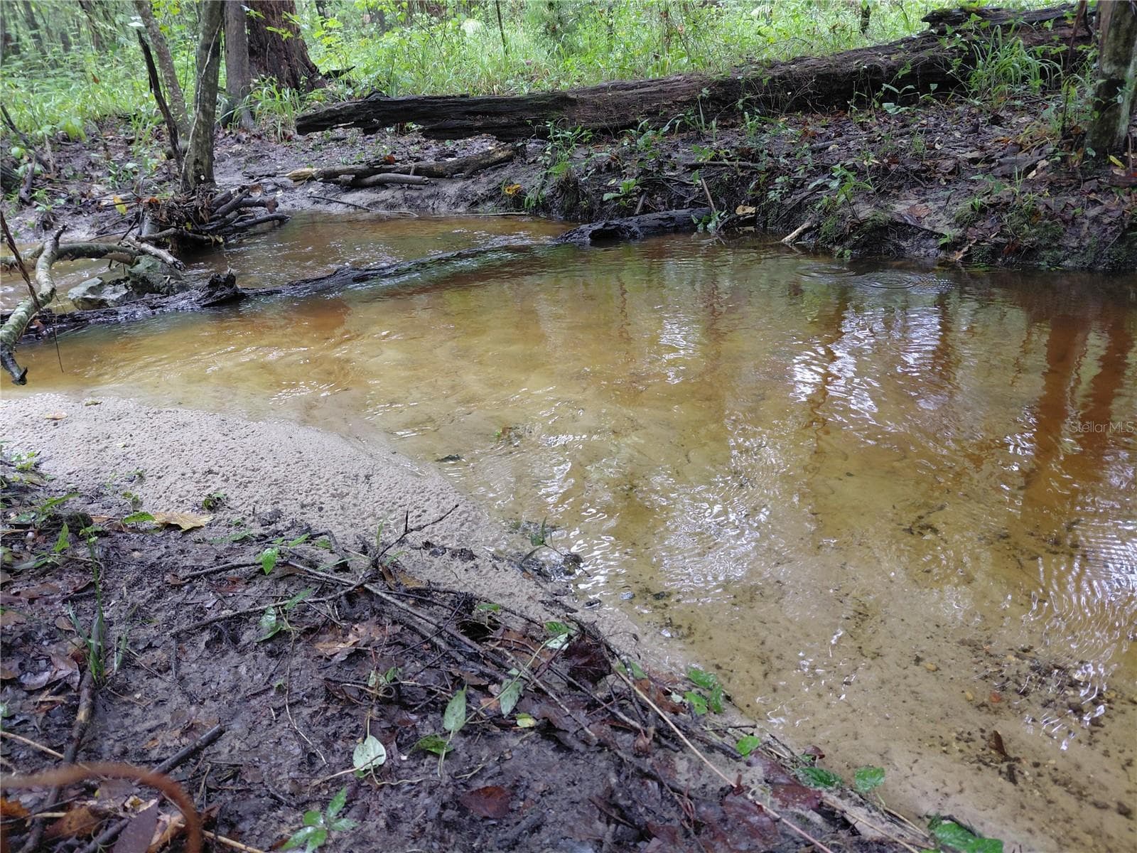 Fresh Running Water Creek - 14810 NW 185 ST, WILLISTON