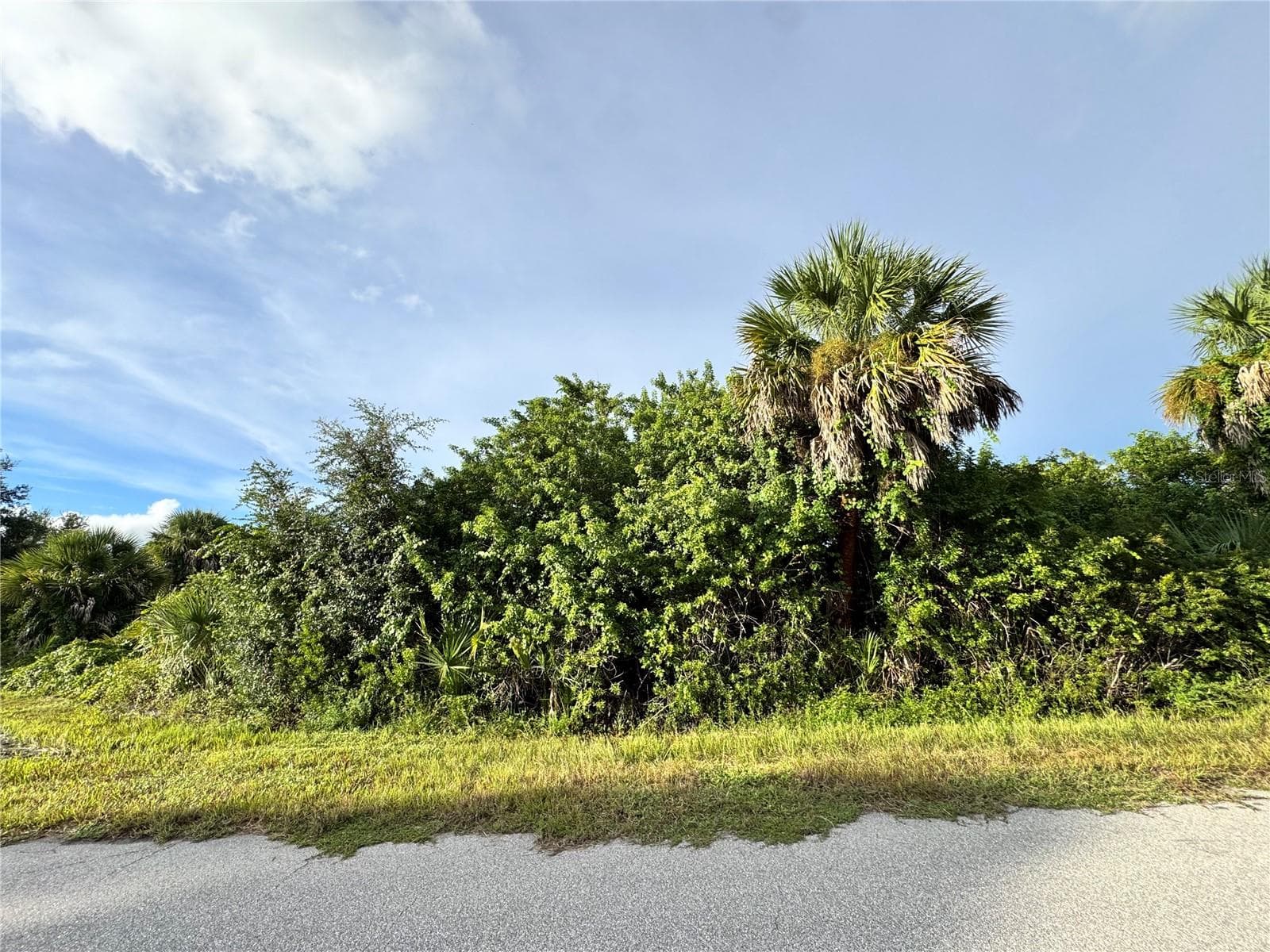 Land at 14114 GUADALCANAL AVE, PORT CHARLOTTE, photo 2 of 6