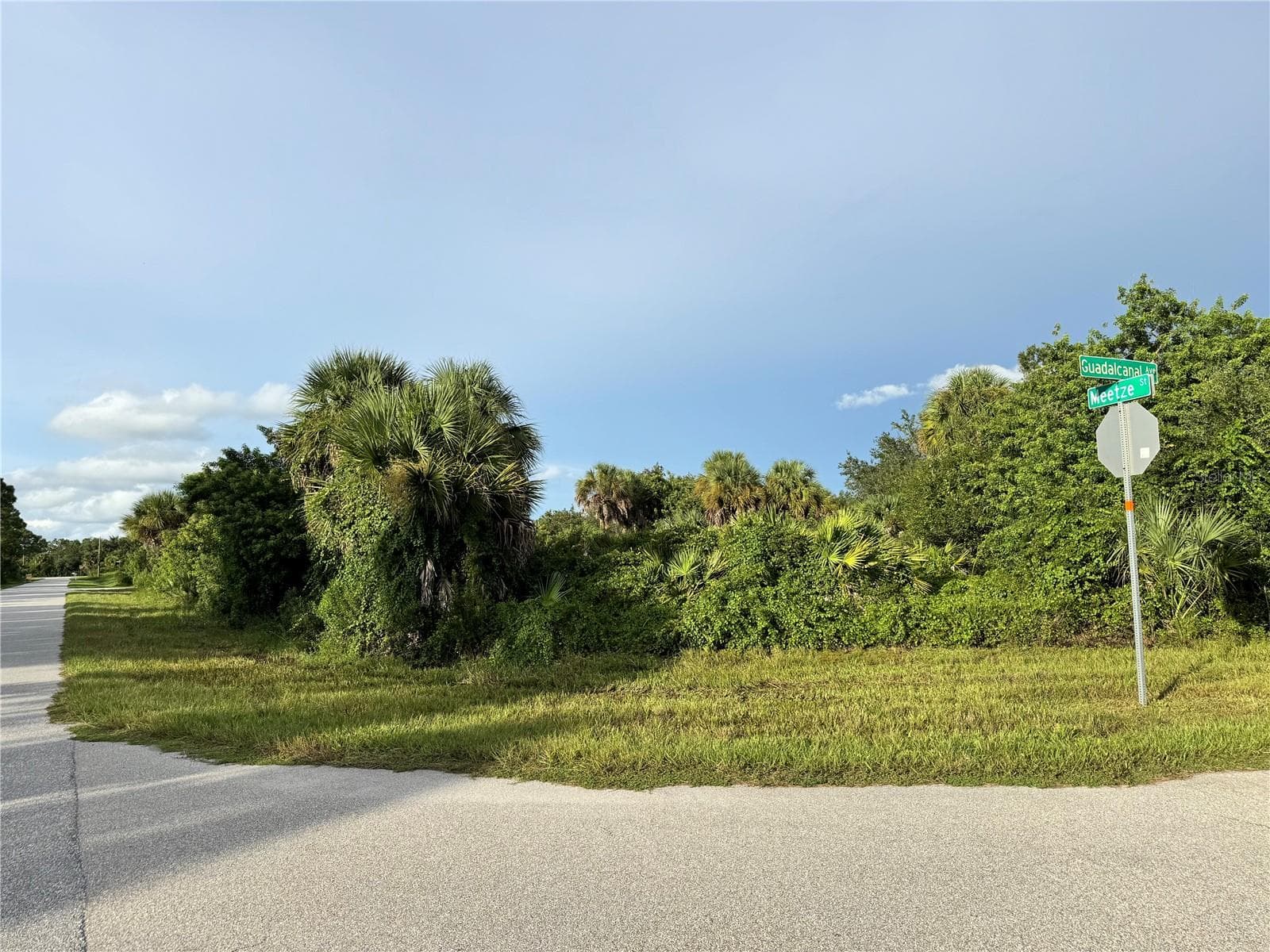 Land at 14114 GUADALCANAL AVE, PORT CHARLOTTE, photo 3 of 6