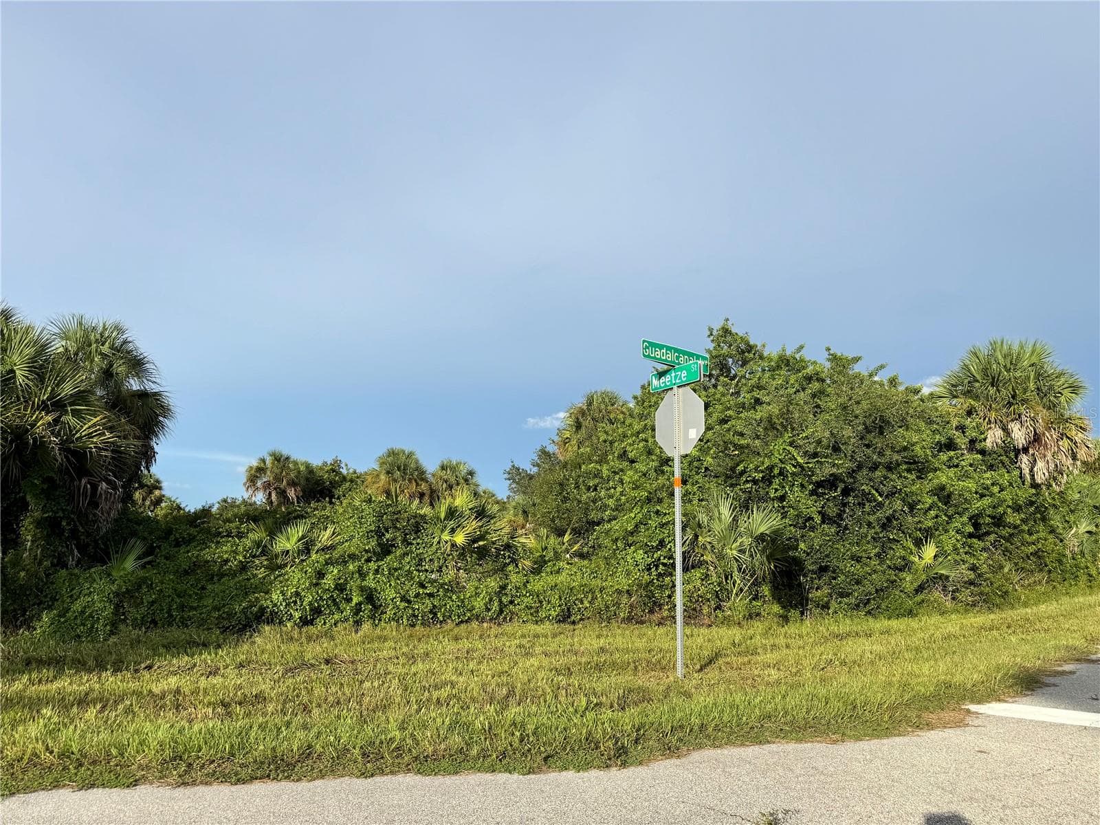 Land at 14114 GUADALCANAL AVE, PORT CHARLOTTE, photo 4 of 6