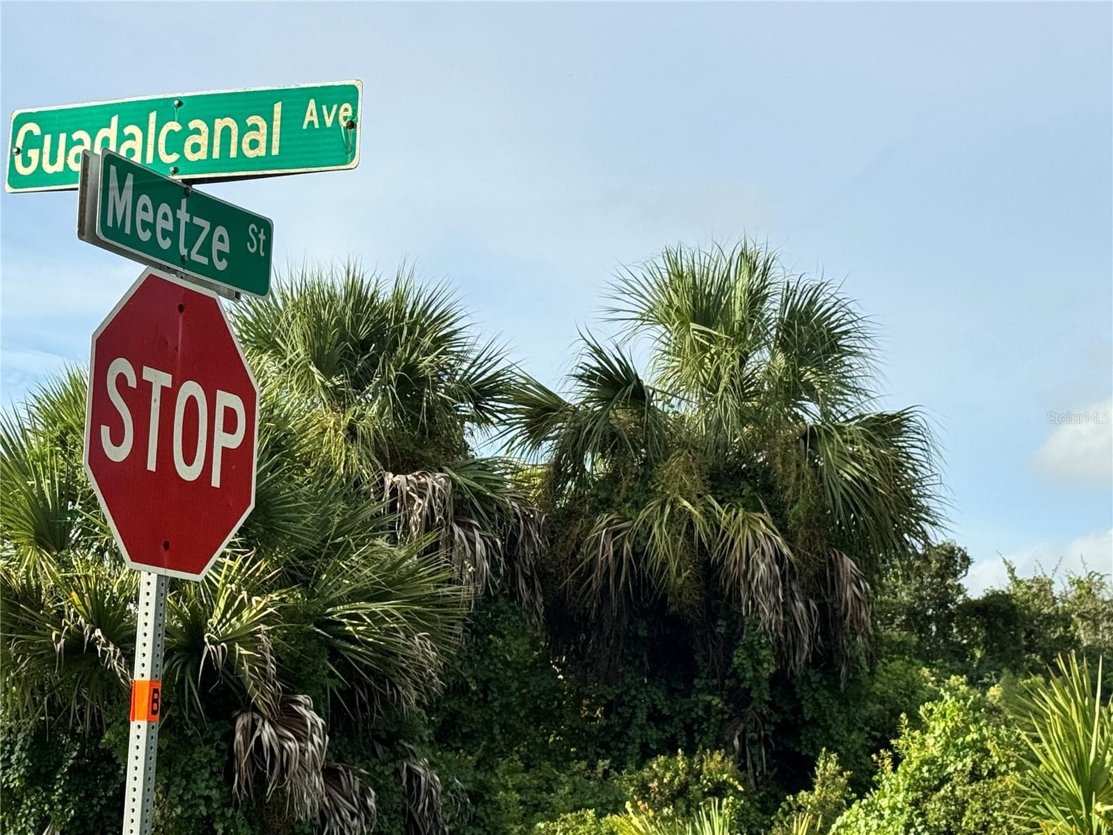 Land at 14114 GUADALCANAL AVE, PORT CHARLOTTE, photo 5 of 6