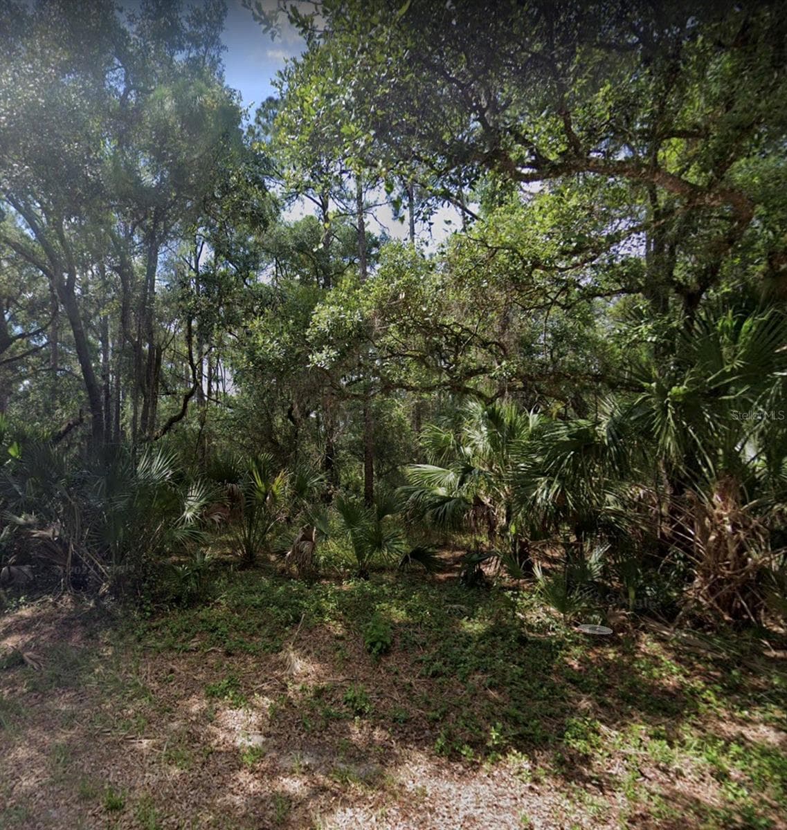 Land at 17358 MASTEN AVE, PORT CHARLOTTE, photo 4 of 6