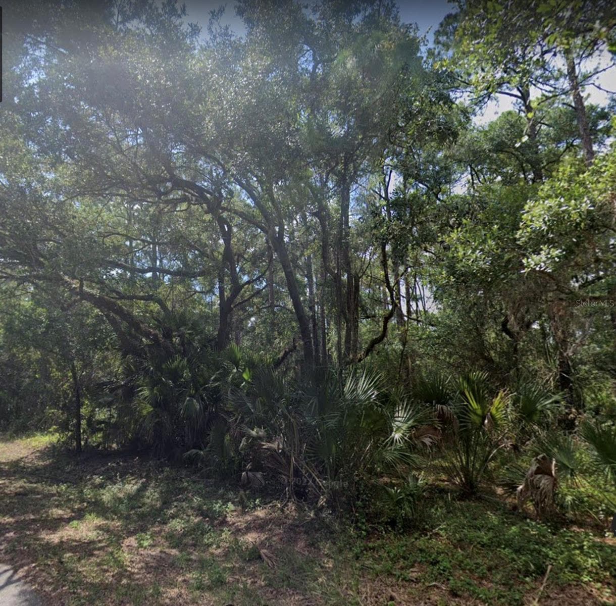 Land at 17358 MASTEN AVE, PORT CHARLOTTE, photo 6 of 6