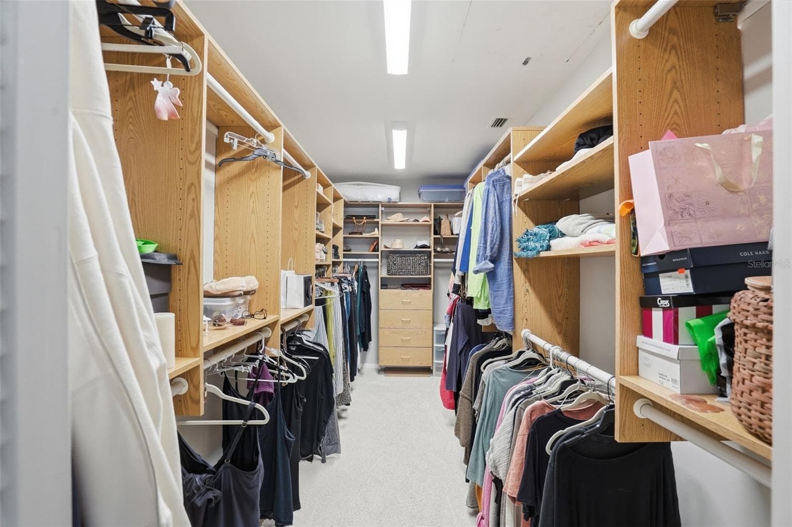 Prmary closet - 5108 BRITTANY DR S #1008, ST PETERSBURG