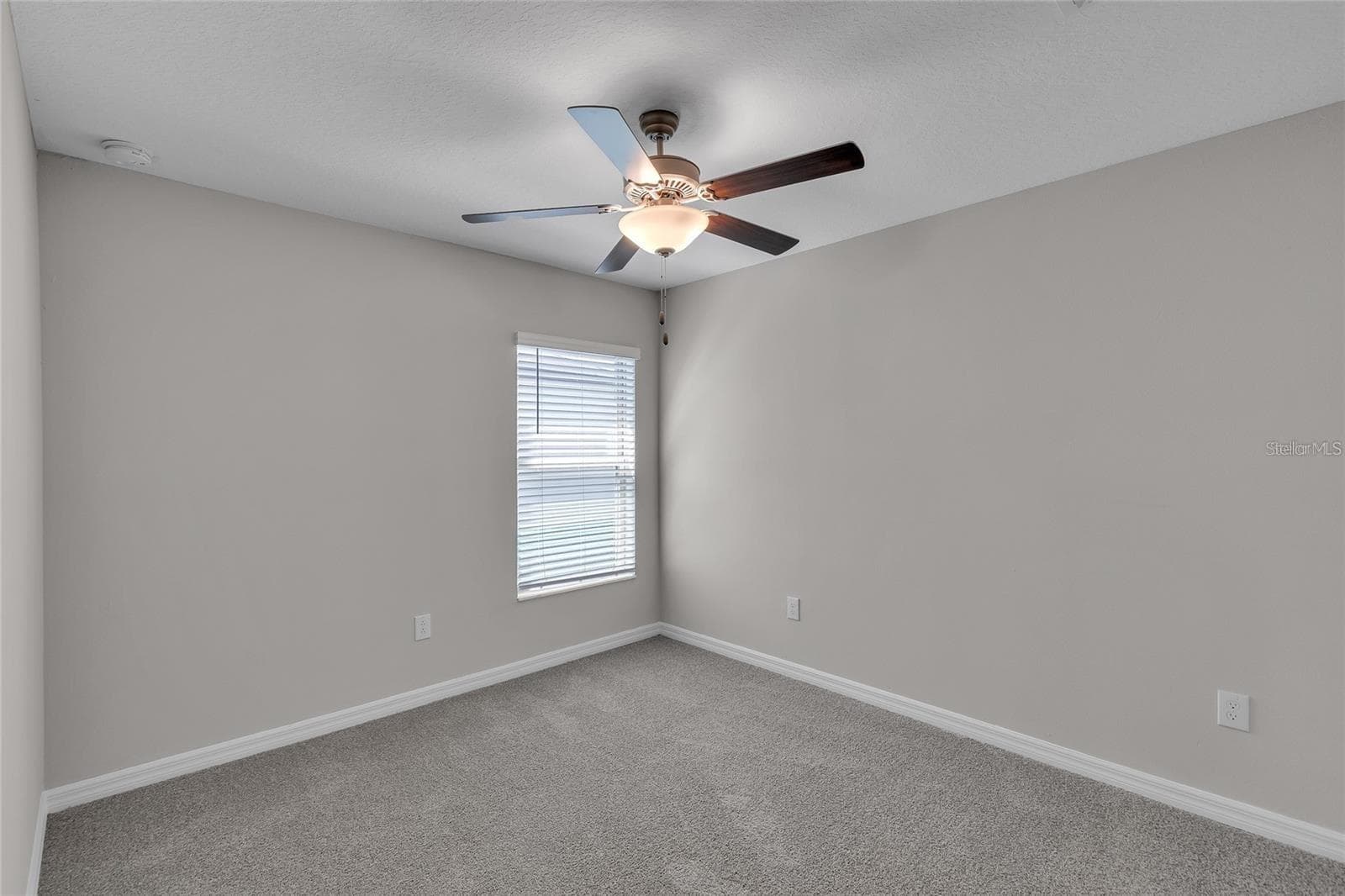 Single Family Residence at 10357 SCARLET SKIMMER DR, RIVERVIEW, photo 22 of 35