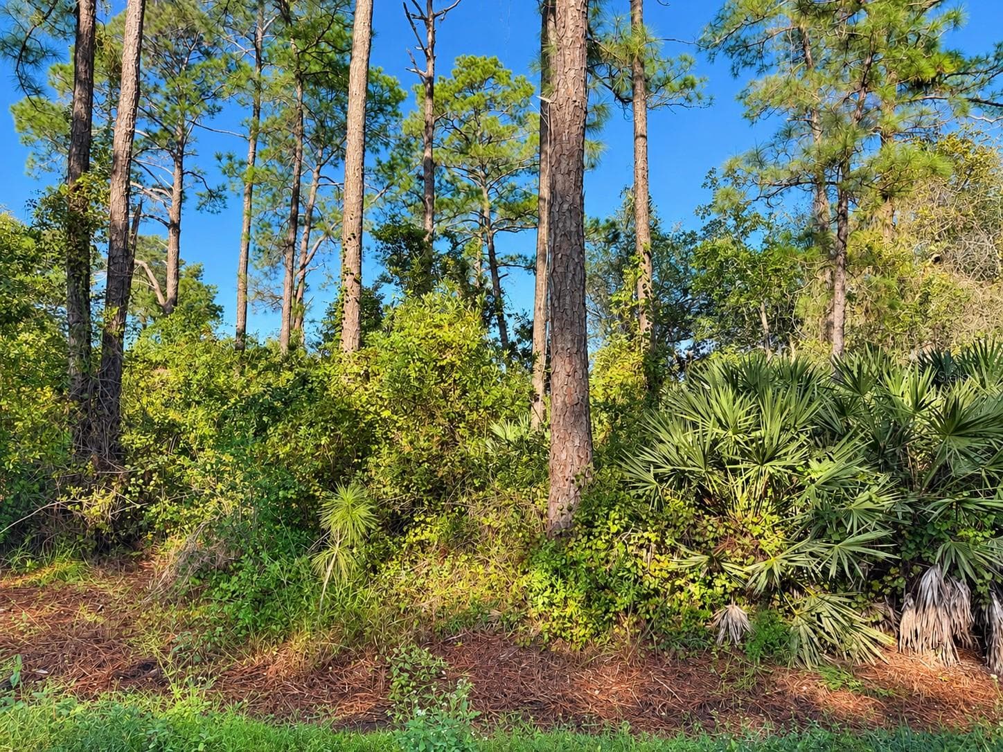 Land at 10TH AVE, DELAND, photo 2 of 7