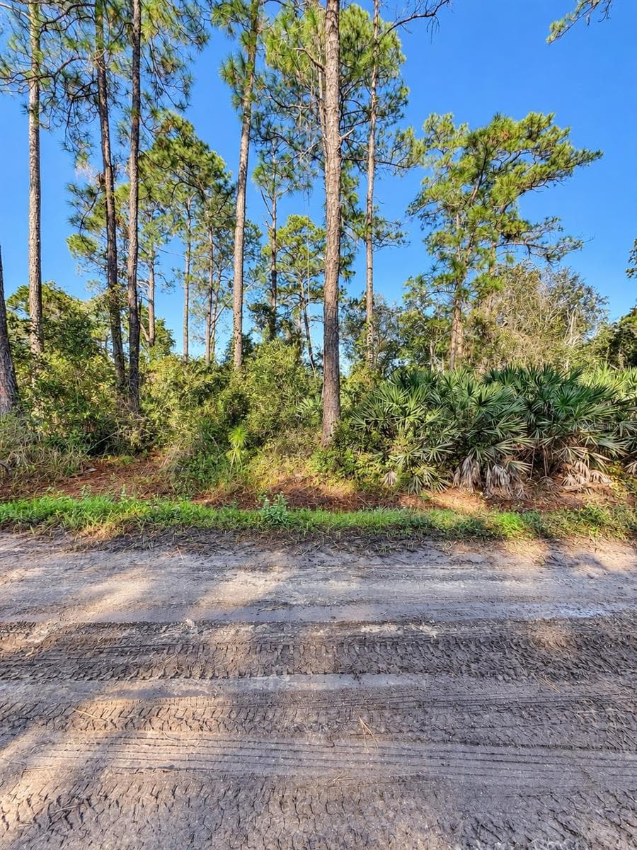 Land at 10TH AVE, DELAND, photo 3 of 7