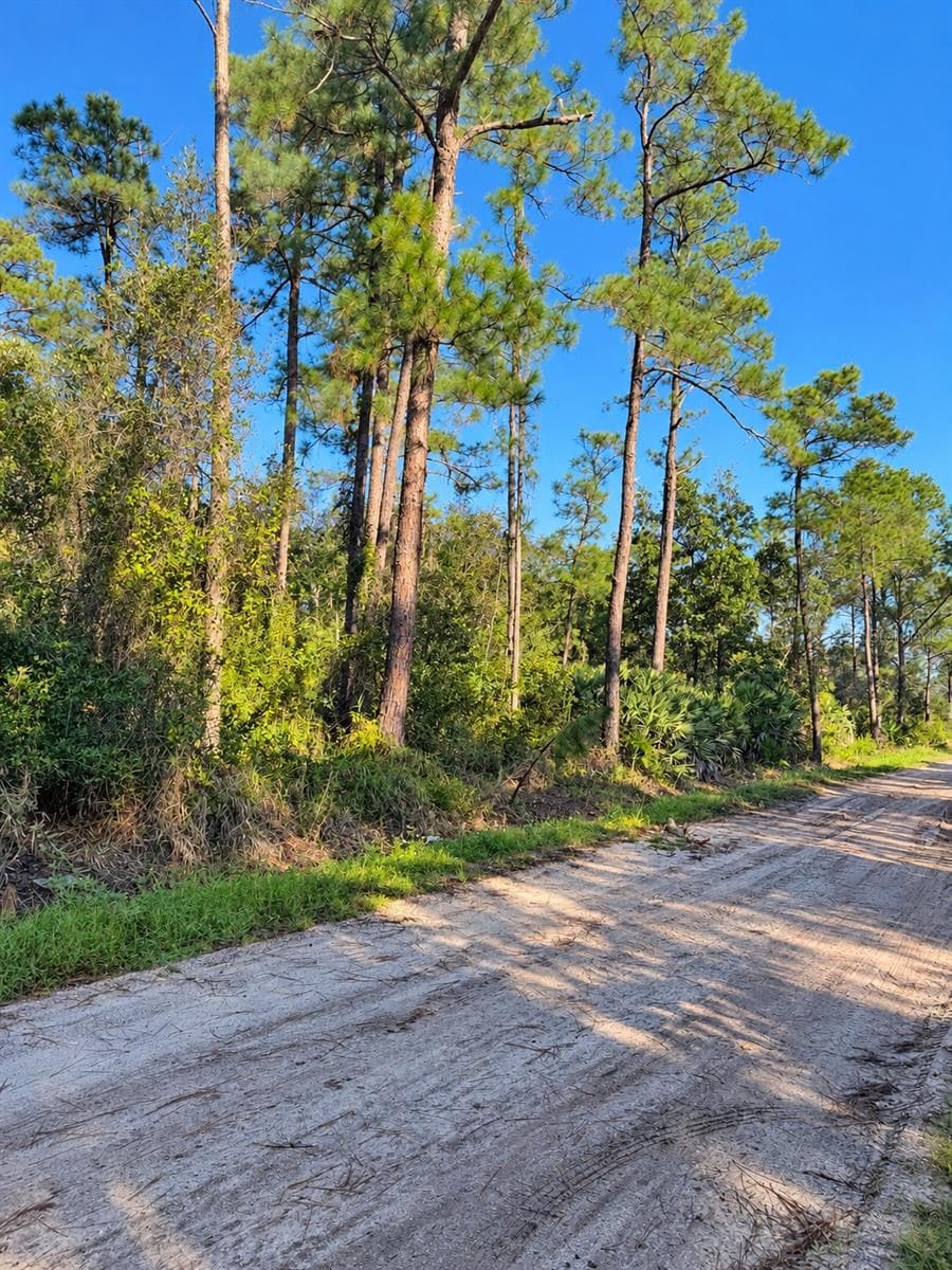 Land at 10TH AVE, DELAND, photo 4 of 7