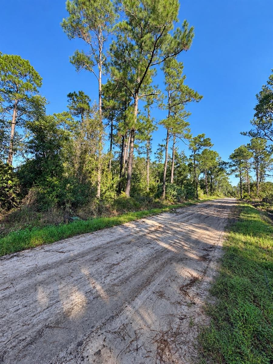 Land at 10TH AVE, DELAND, photo 5 of 7