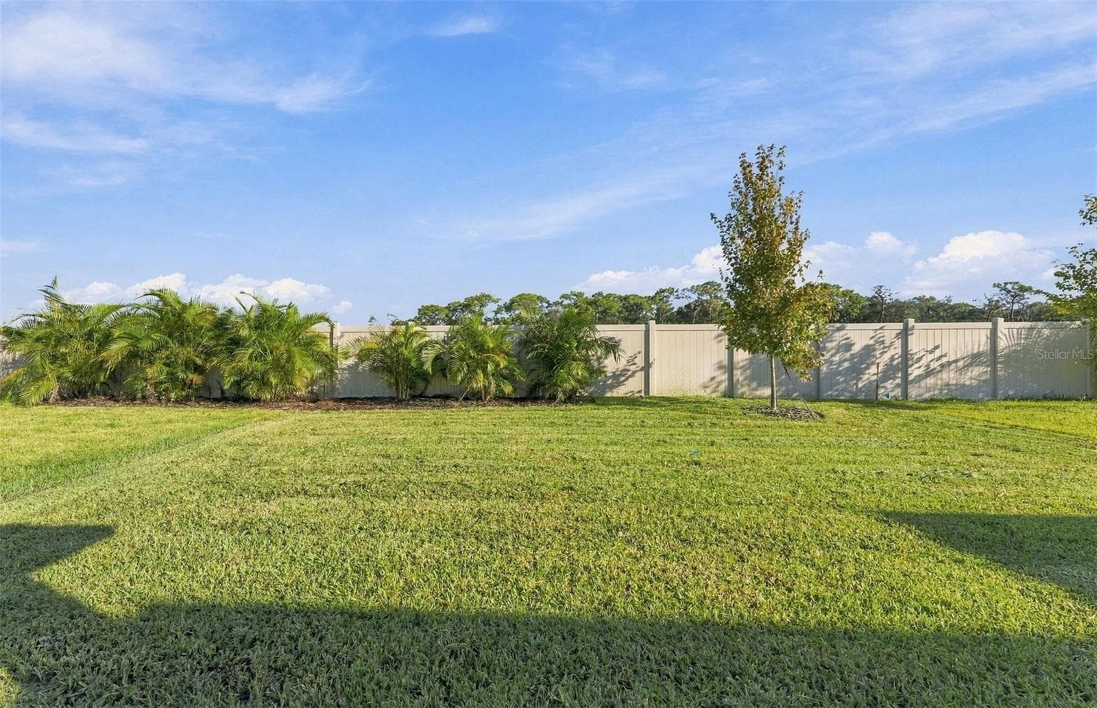 Spacious Backyard - 9748 CRESCENT MOON DR, RIVERVIEW