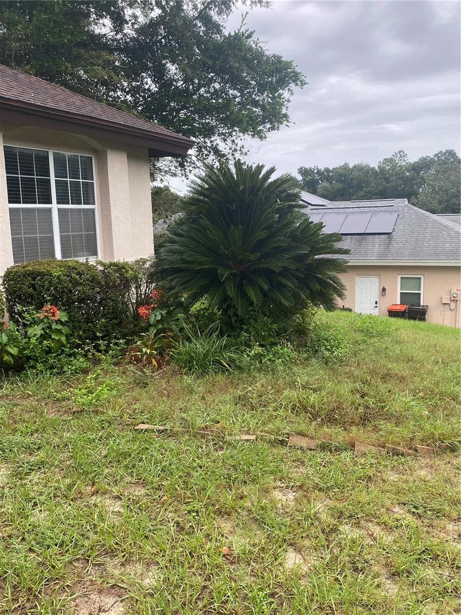 Side of the house - 11492 SW 82ND COURT RD, OCALA