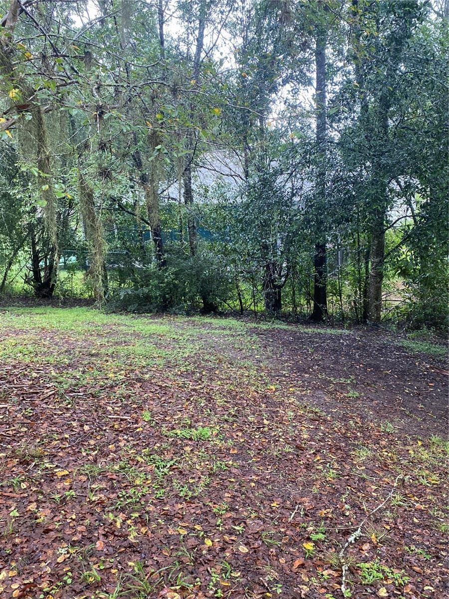 Large backyard views with mature trees - 11492 SW 82ND COURT RD, OCALA