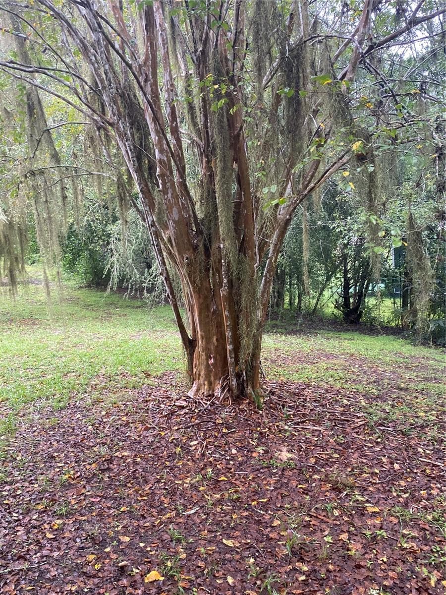 Backyard views - 11492 SW 82ND COURT RD, OCALA