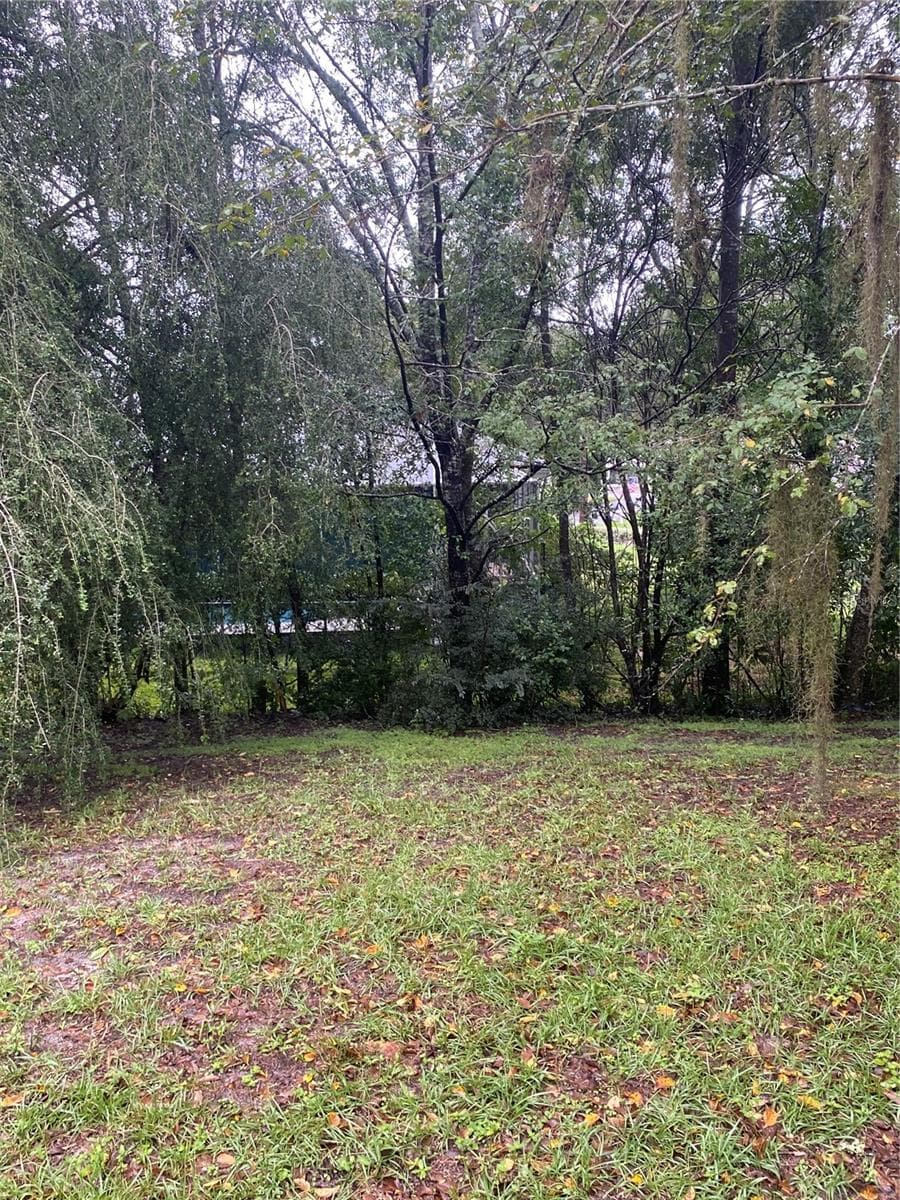 Backyard views - 11492 SW 82ND COURT RD, OCALA