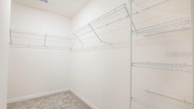 Model home - actual features may vary. - 3112 E MAY ST, INVERNESS