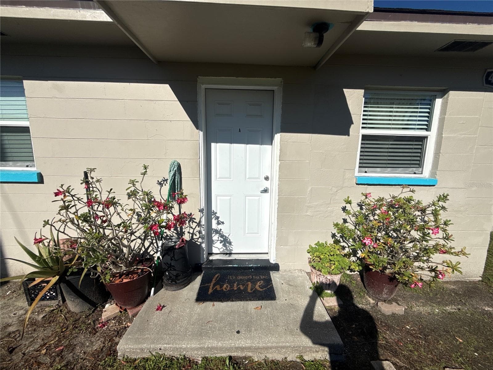 Triplex at 4420 N CLARK AVE, TAMPA, photo 21 of 23