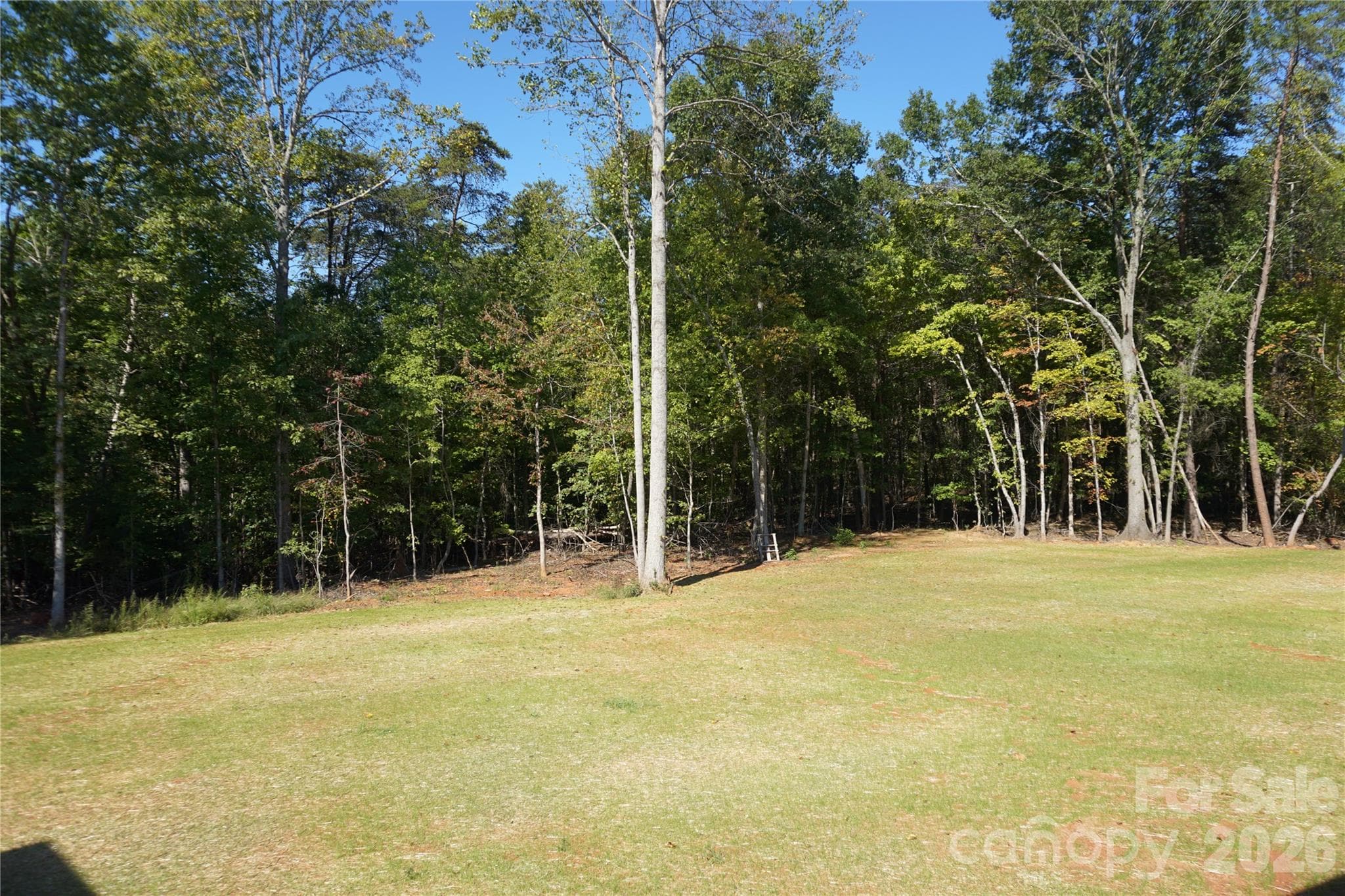View of the back yard. - 989 Rhyne Road, Clover
