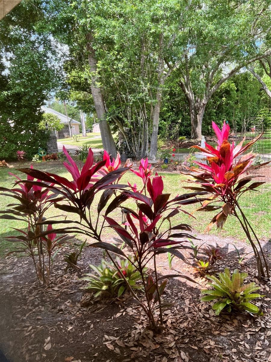 Single Family Residence at 113 BRIDGEHAVEN DR, PALM COAST, photo 18 of 20