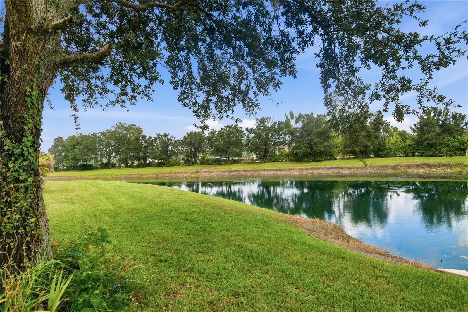 Single Family Residence at 19930 DOLORES ANN CT, LUTZ, photo 34 of 37