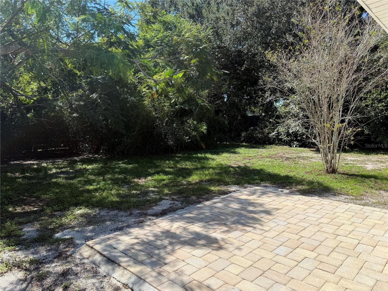 Backyard - 4702 CRONIN DR, SARASOTA