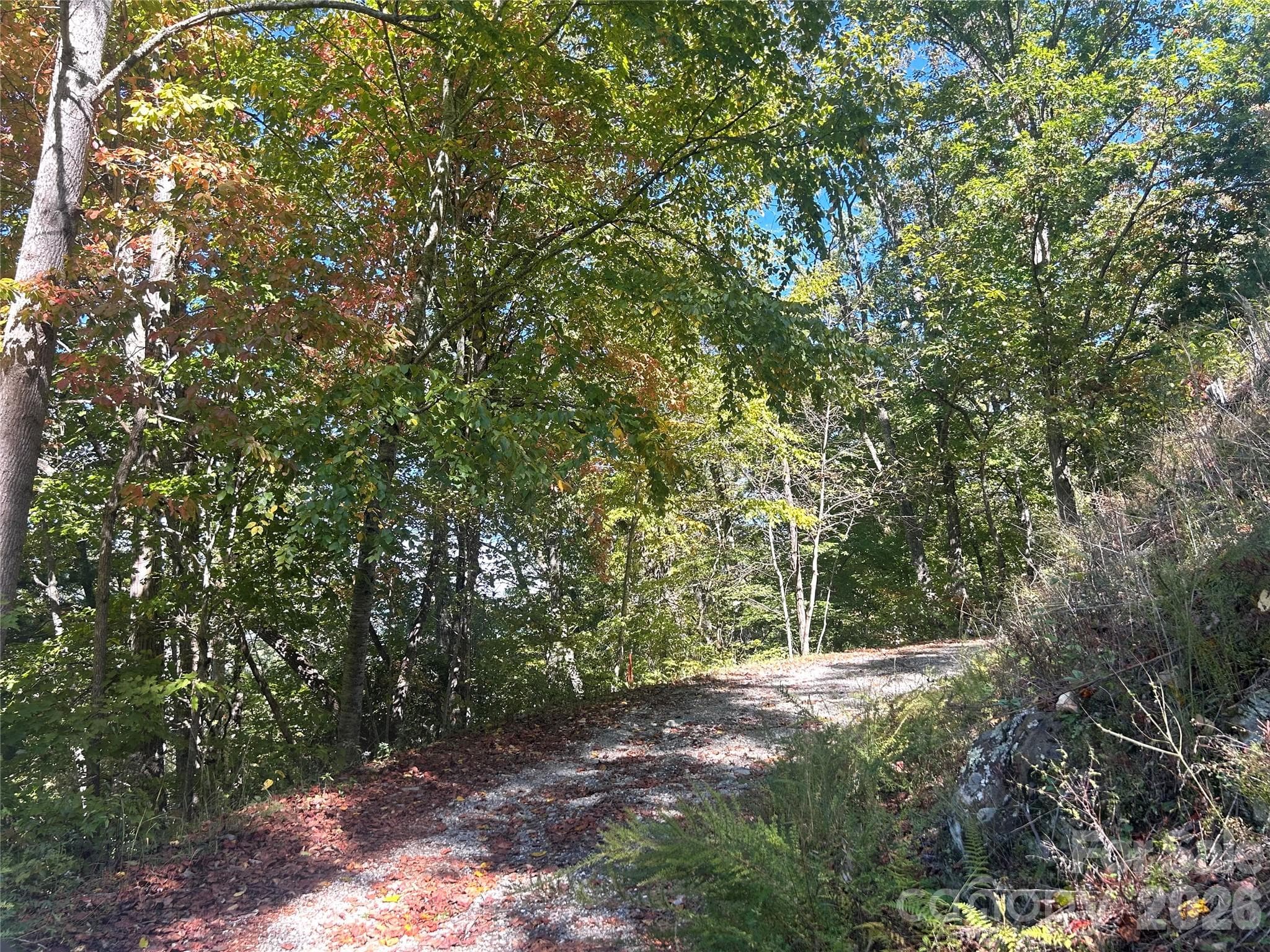 Nice driveway - 217 Sandalwood Road, Whittier