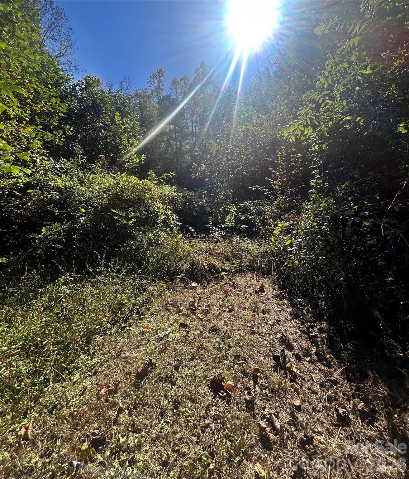 Path to Private escapee for camping on property ! - 217 Sandalwood Road, Whittier