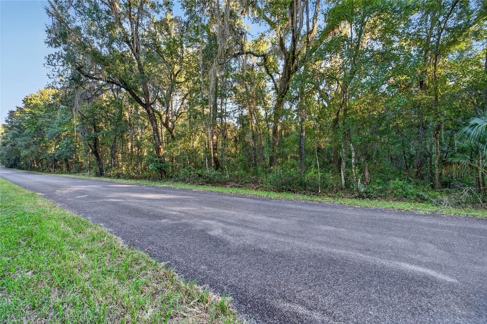 Land at TBD NW 200TH ST, MICANOPY, photo 4 of 19