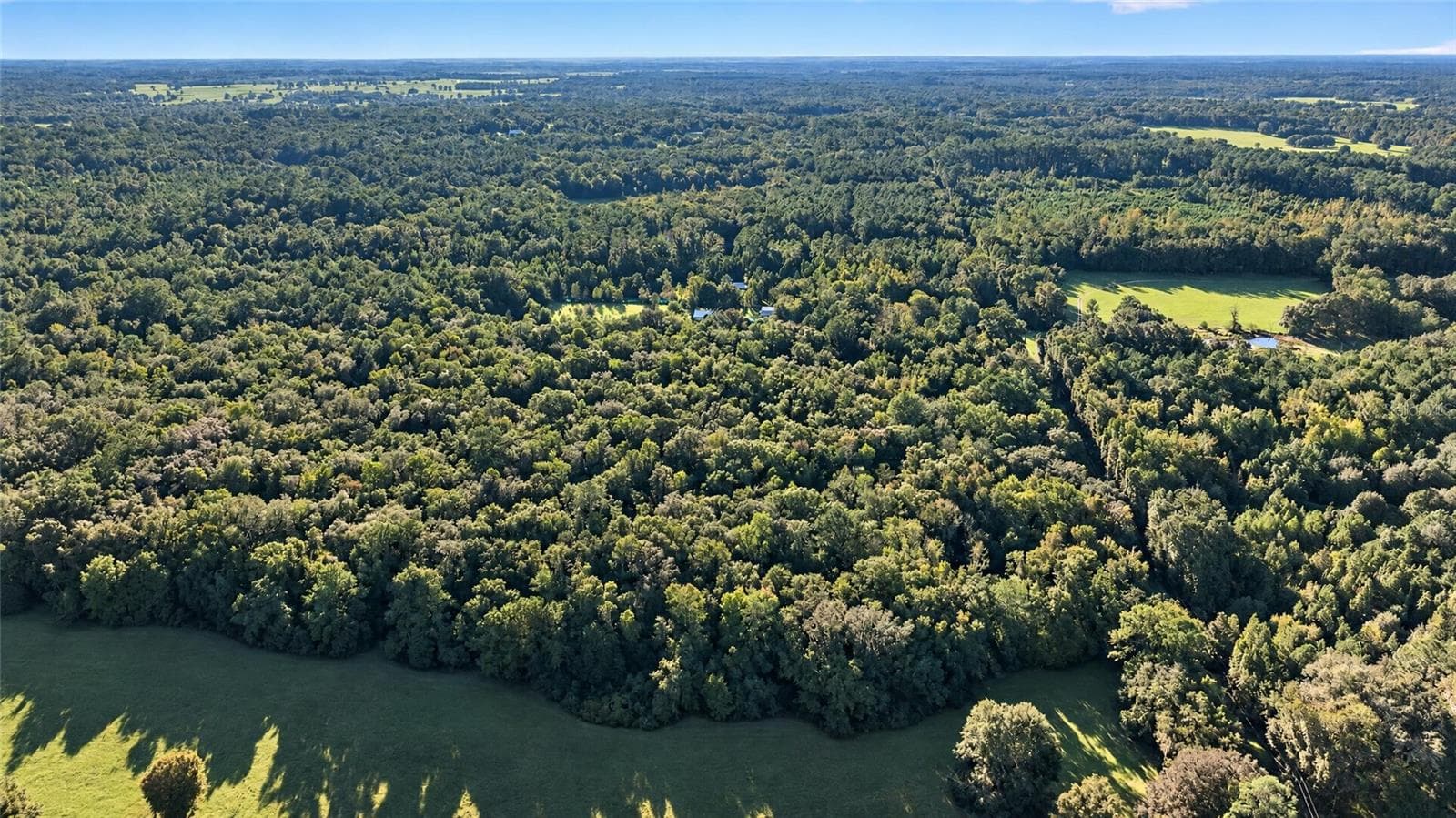 Land at TBD NW 200TH ST, MICANOPY, photo 5 of 19