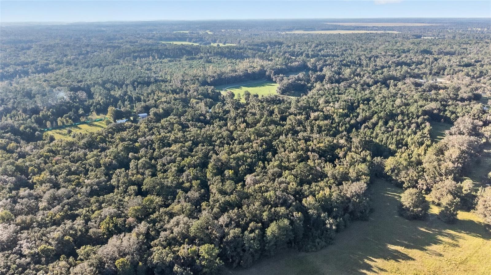 Land at TBD NW 200TH ST, MICANOPY, photo 6 of 19