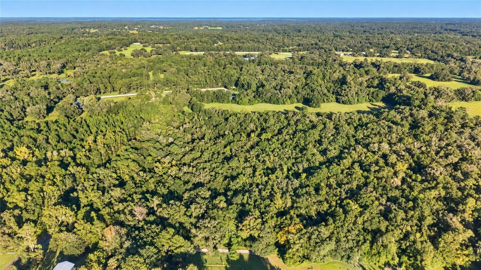 Land at TBD NW 200TH ST, MICANOPY, photo 9 of 19