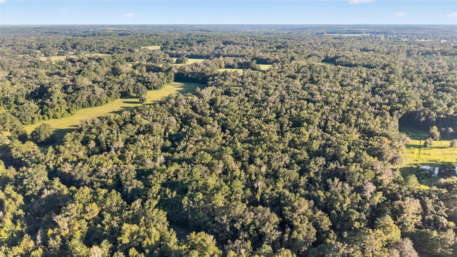 Land at TBD NW 200TH ST, MICANOPY, photo 12 of 19