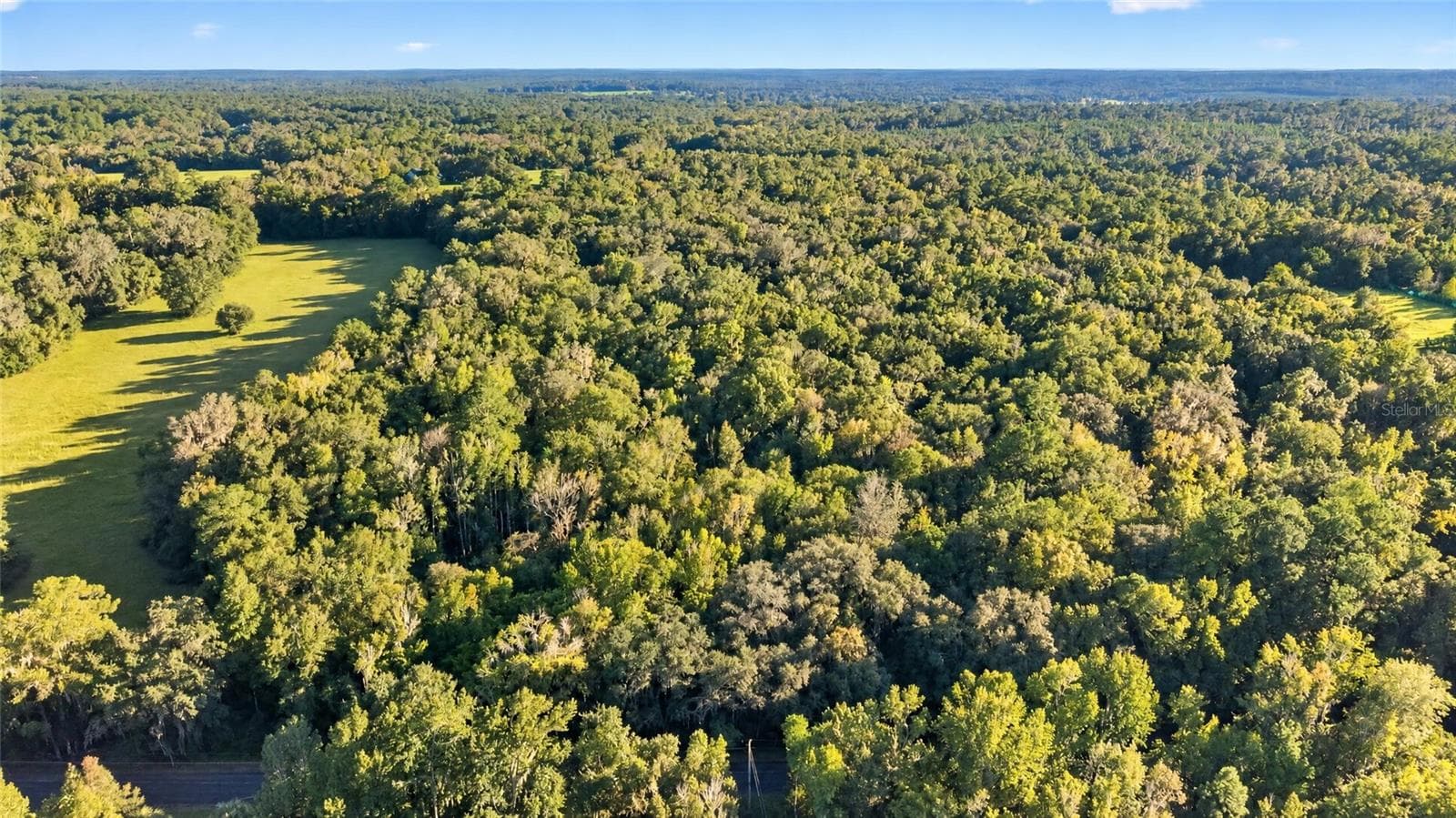 Land at TBD NW 200TH ST, MICANOPY, photo 13 of 19