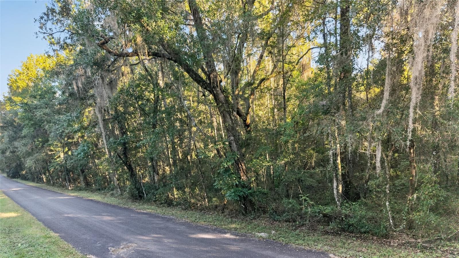 Land at TBD NW 200TH ST, MICANOPY, photo 14 of 19
