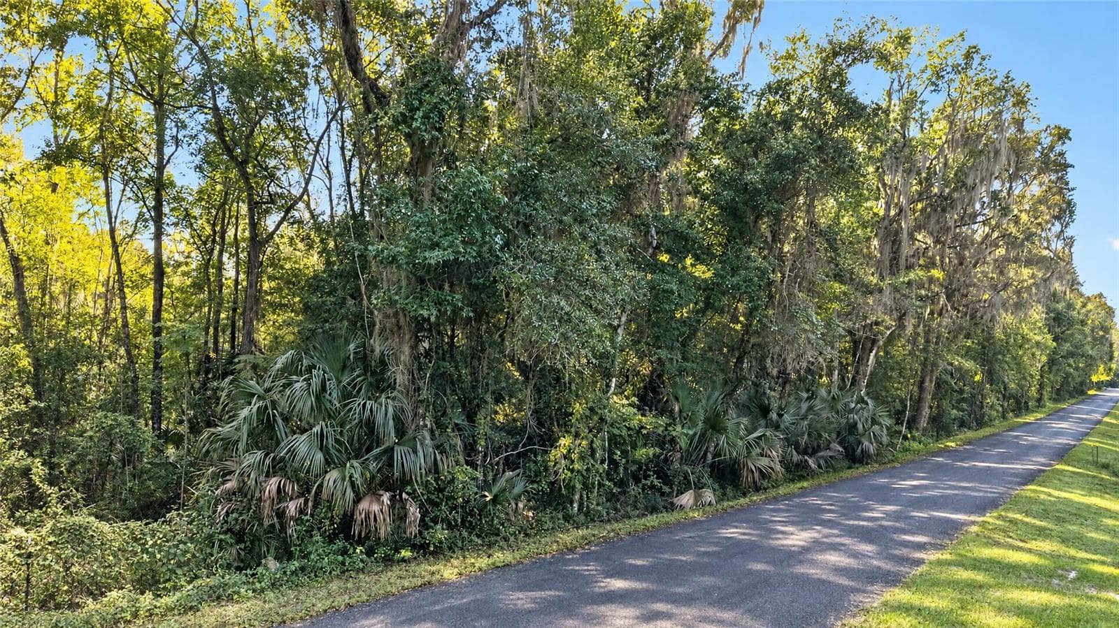 Land at TBD NW 200TH ST, MICANOPY, photo 15 of 19