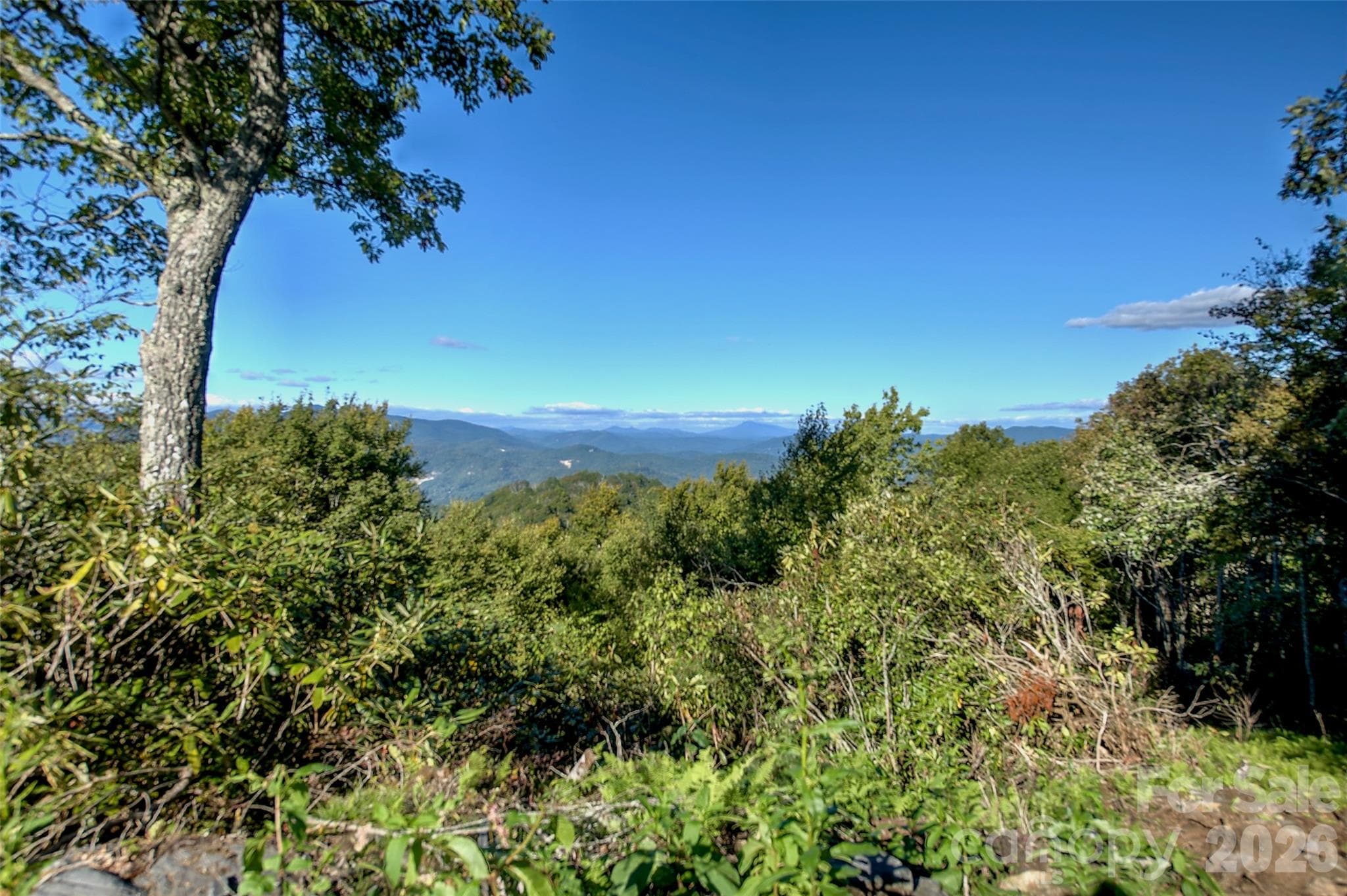 Acreage at 0000 Arrowhead Ridge Road, Spruce Pine, photo 35 of 62