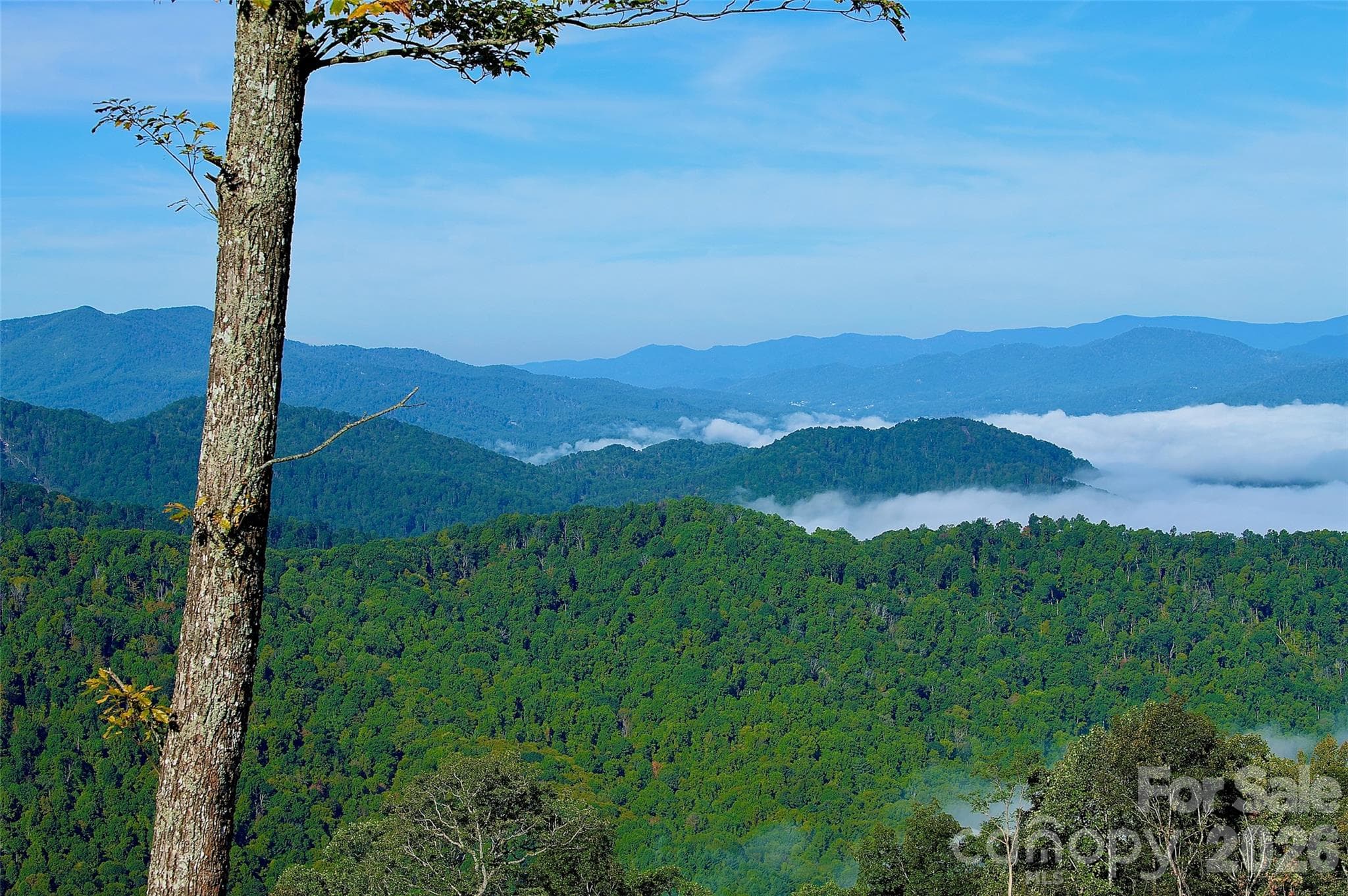 Acreage at 0000 Arrowhead Ridge Road, Spruce Pine, photo 44 of 62