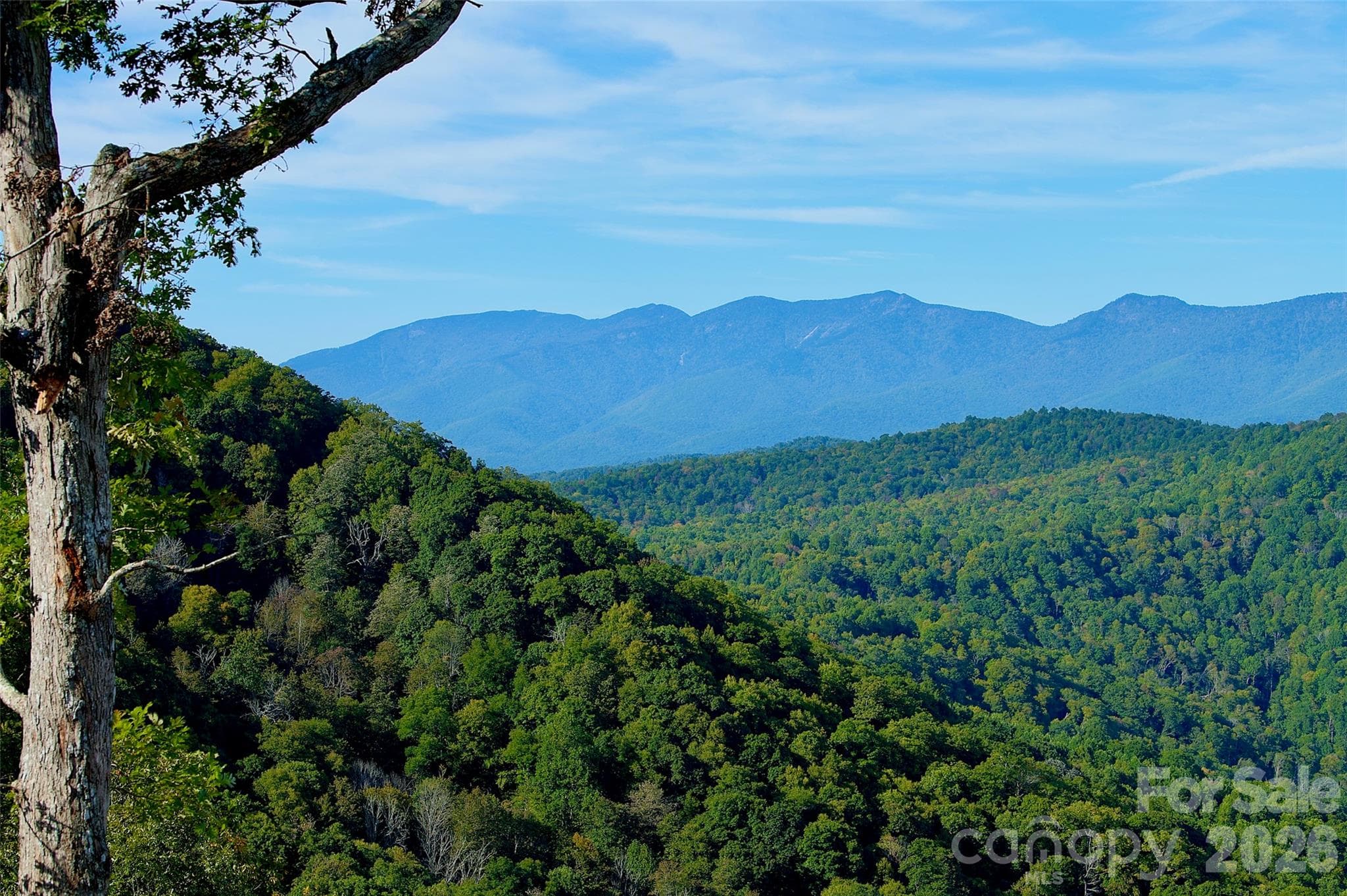 Acreage at 0000 Arrowhead Ridge Road, Spruce Pine, photo 45 of 62