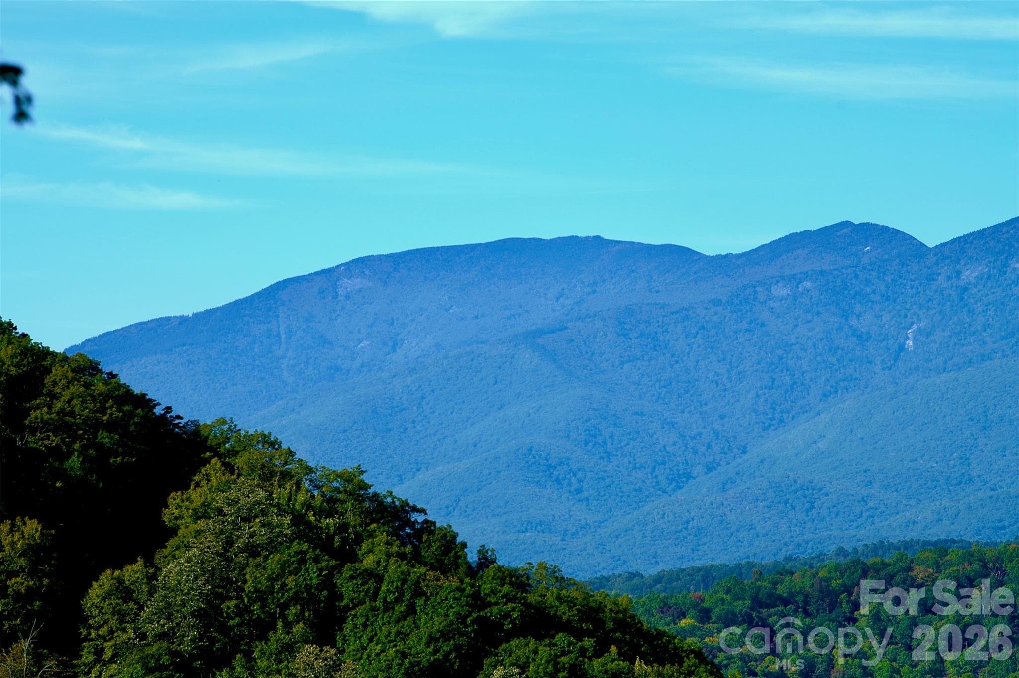 Acreage at 0000 Arrowhead Ridge Road, Spruce Pine, photo 46 of 62