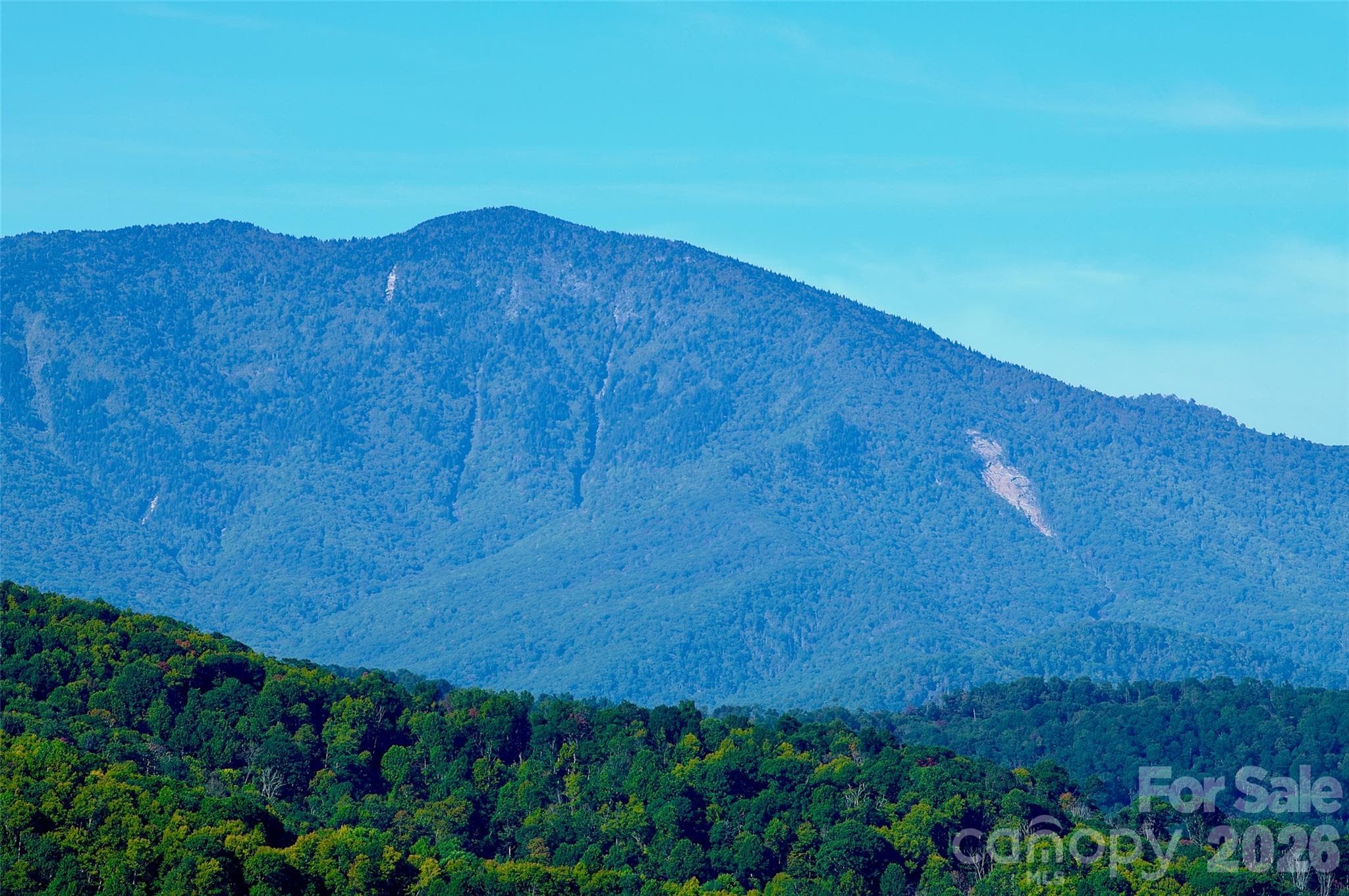 Acreage at 0000 Arrowhead Ridge Road, Spruce Pine, photo 47 of 62