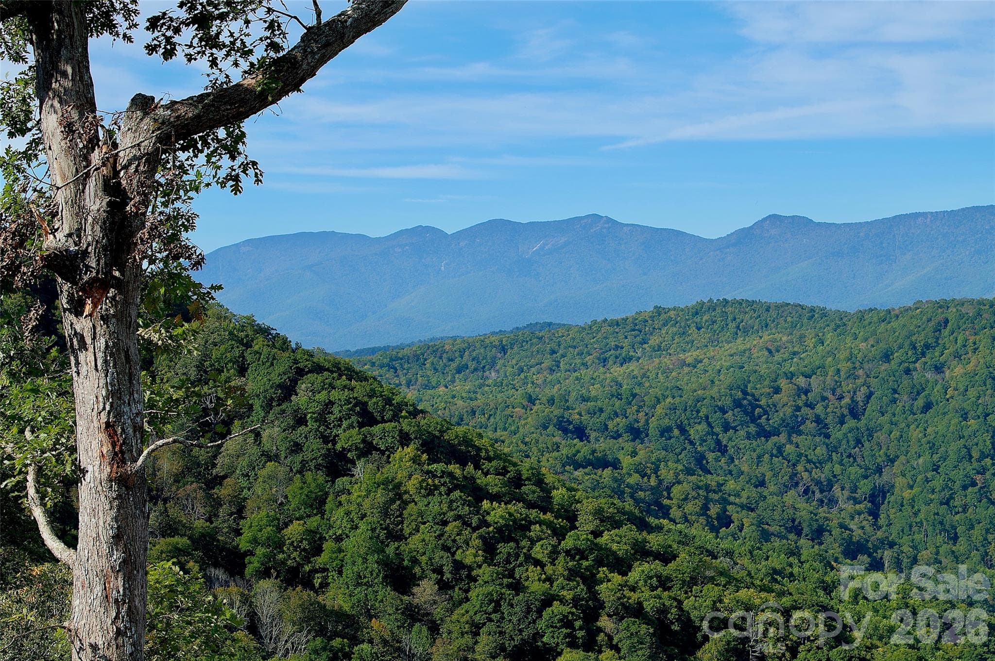 Acreage at 0000 Arrowhead Ridge Road, Spruce Pine, photo 50 of 62