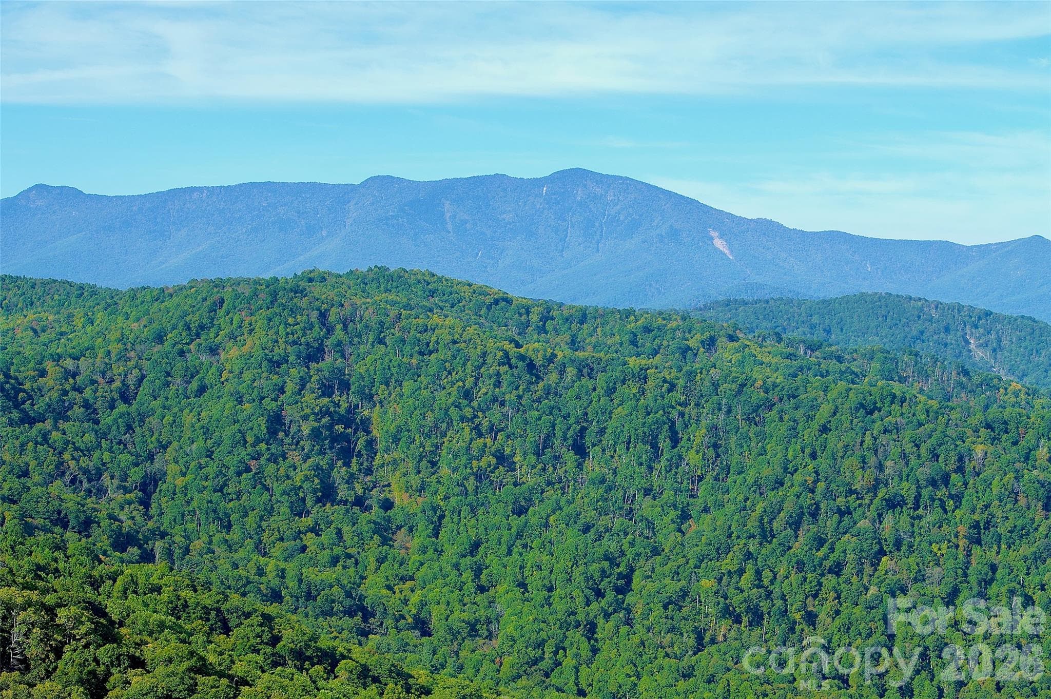 Acreage at 0000 Arrowhead Ridge Road, Spruce Pine, photo 51 of 62