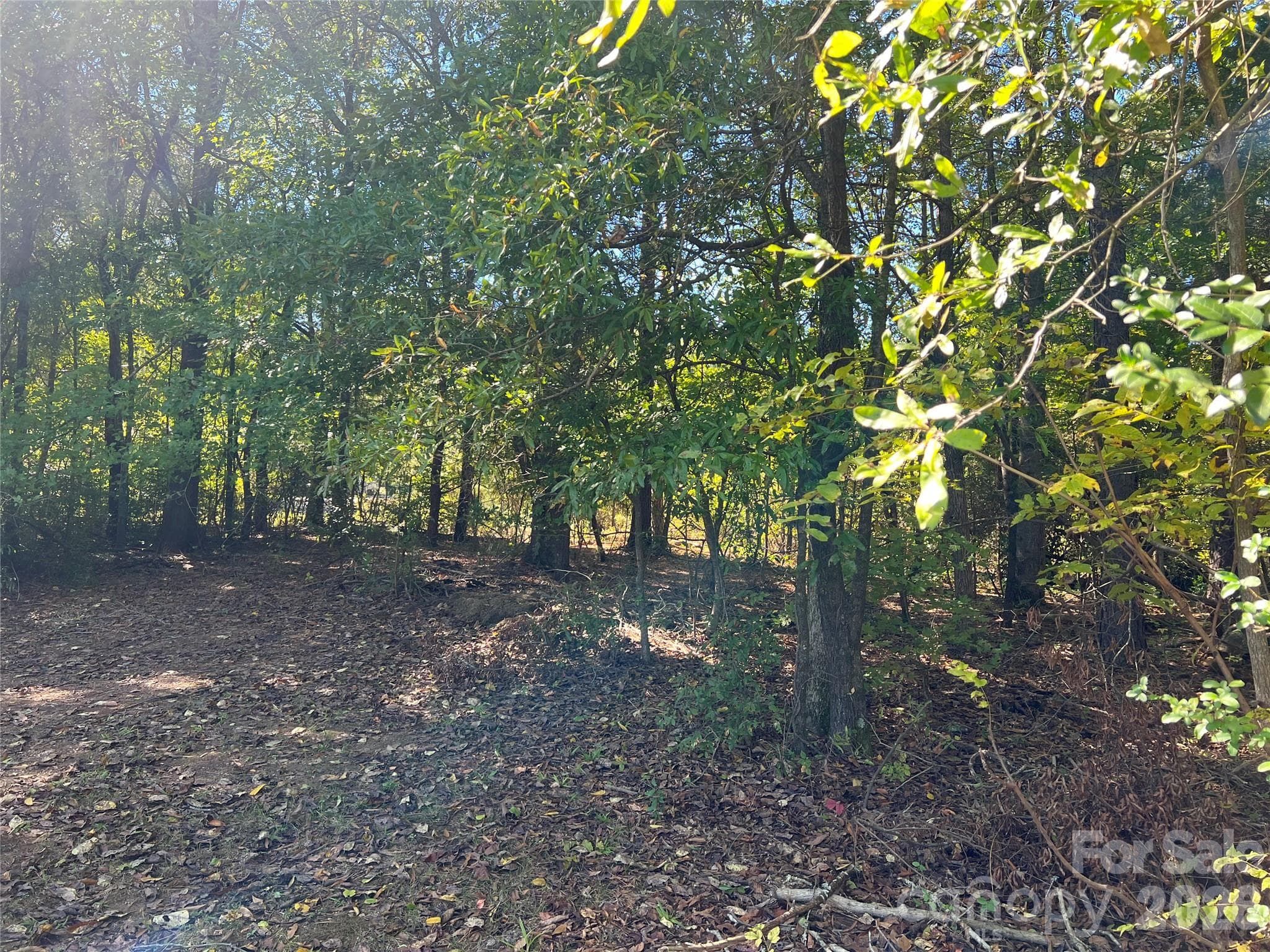 Left rear of property, facing front - 00 Ross Drive, Albemarle